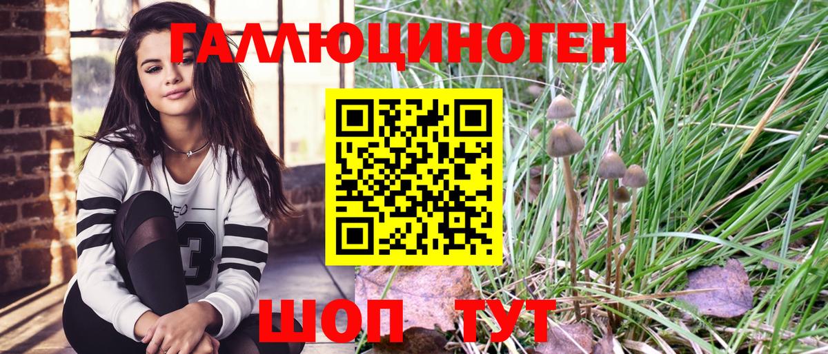 Псилоцибиновые грибы MAGIC MUSHROOMS Куйбышев