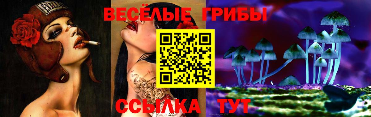 Галлюциногенные грибы Psilocybe  Вход с VPN  Галлюциногенные грибы Cubensis  Куйбышев 